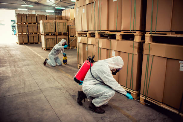 Best Bed Bug Extermination  in Falls City, NE