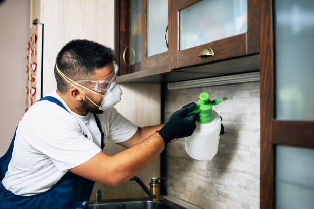 Best Flea Control Services  in Falls City, NE