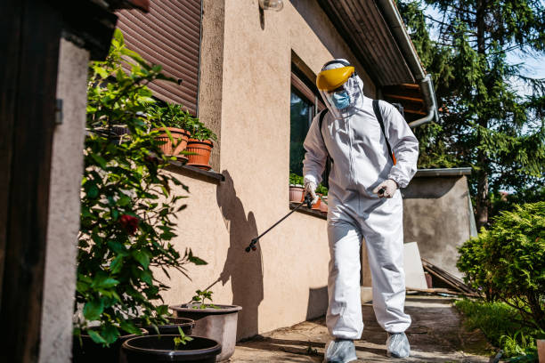 Flea Control Services in Falls City, NE