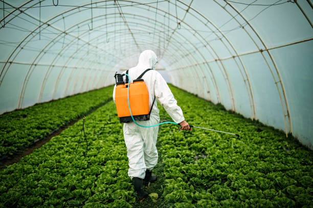 Best Pest Inspection Near Me  in Falls City, NE