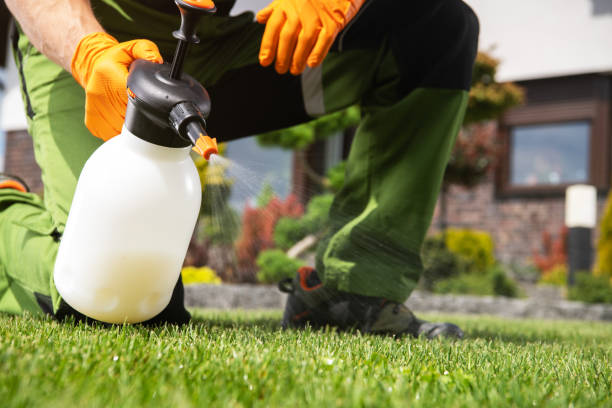 Best Pest Control Near Me  in Falls City, NE