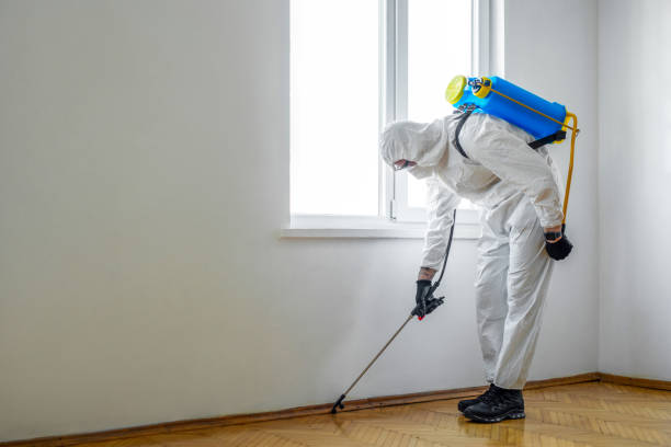 Best Mosquito Control Services  in Falls City, NE