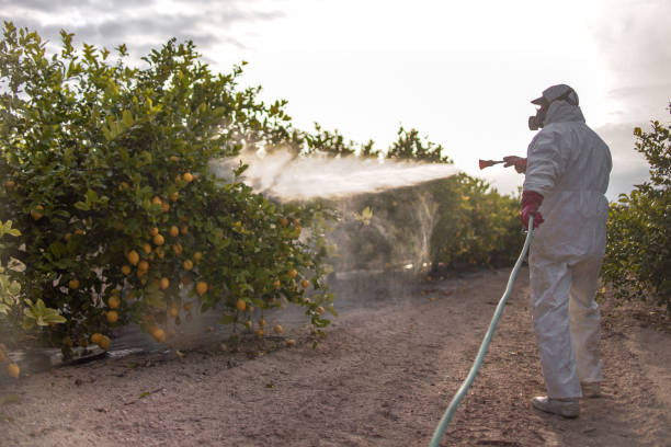 Best Residential Pest Control  in Falls City, NE