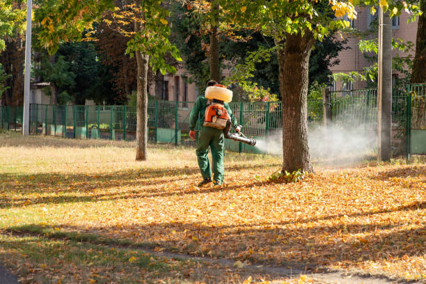 Best Best Pest Control Companies  in Falls City, NE