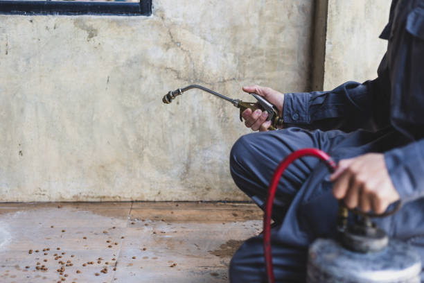 Best Affordable Pest Control Services  in Falls City, NE