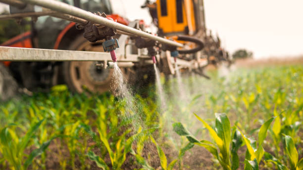 Best Pest Removal Services  in Falls City, NE